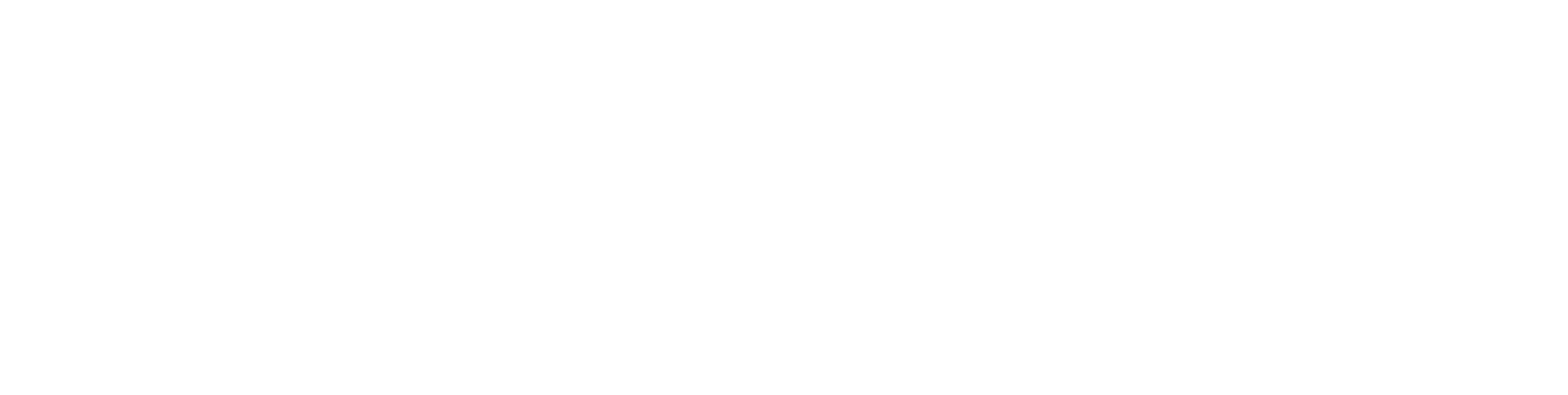 BrightLeaf Group logo